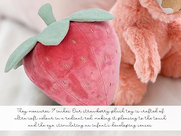 Mon Ami Strawberry Scented Plush Toy