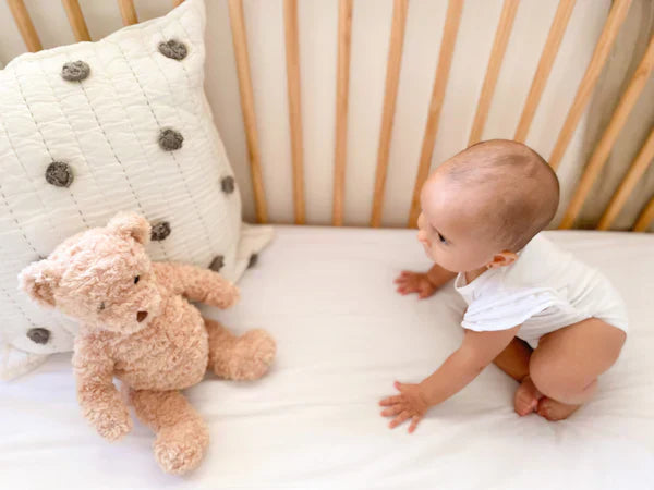 Mon Ami Mr. Cuddlesworth Bear