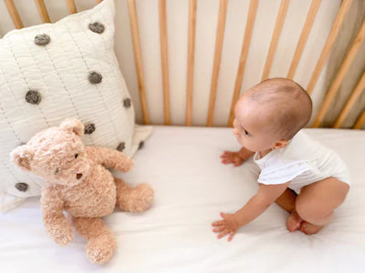 Mon Ami Mr. Cuddlesworth Bear